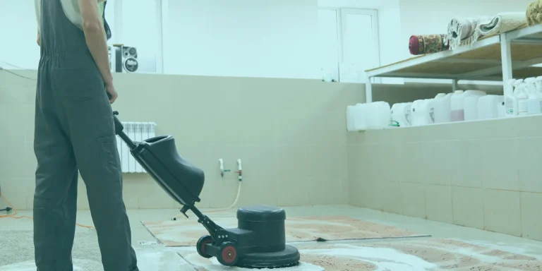 Rug Cleaning Services Narangba